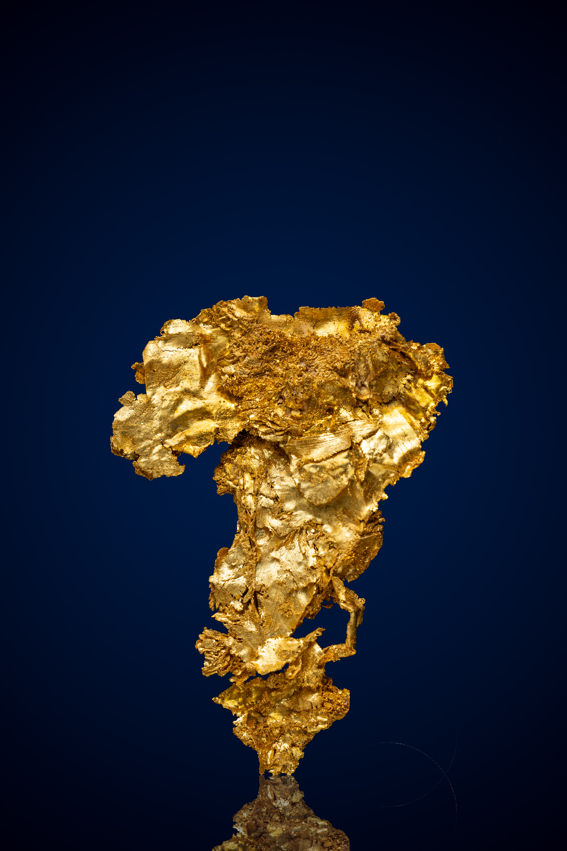 Dendritic, Monumental Natural Gold Specimen - Round Mountain, NV - 13.56 grams (image for) Dendritic, Monumental Natural Gold Specimen - Round Mountain, NV - 13.56 grams